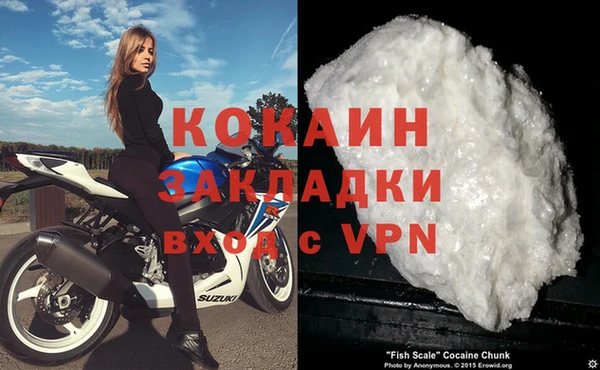 стаф Абинск