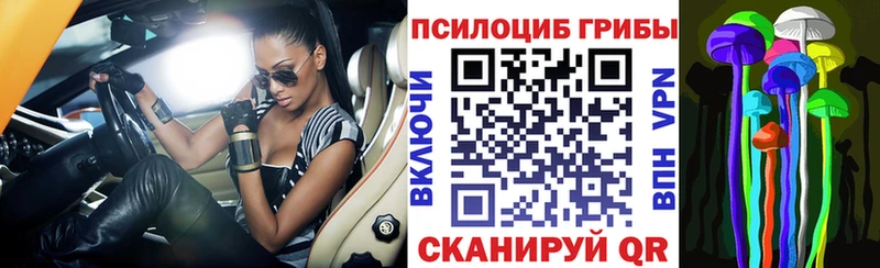 Псилоцибиновые грибы мицелий  наркошоп  Серафимович 